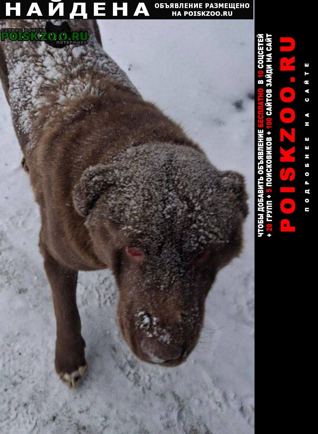 ���� ������� ������ ������