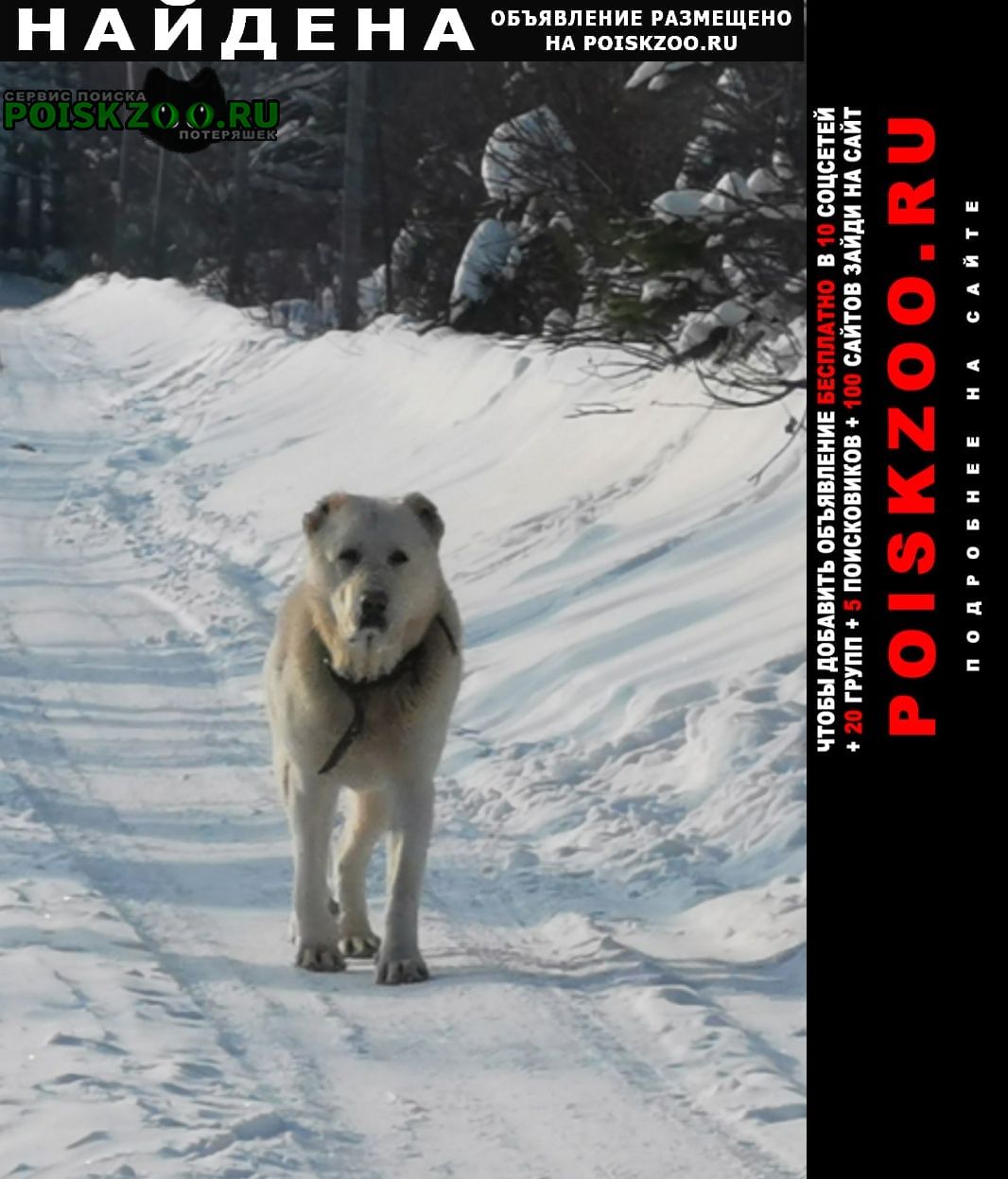 ���� ������� ������ ������ ������� ������