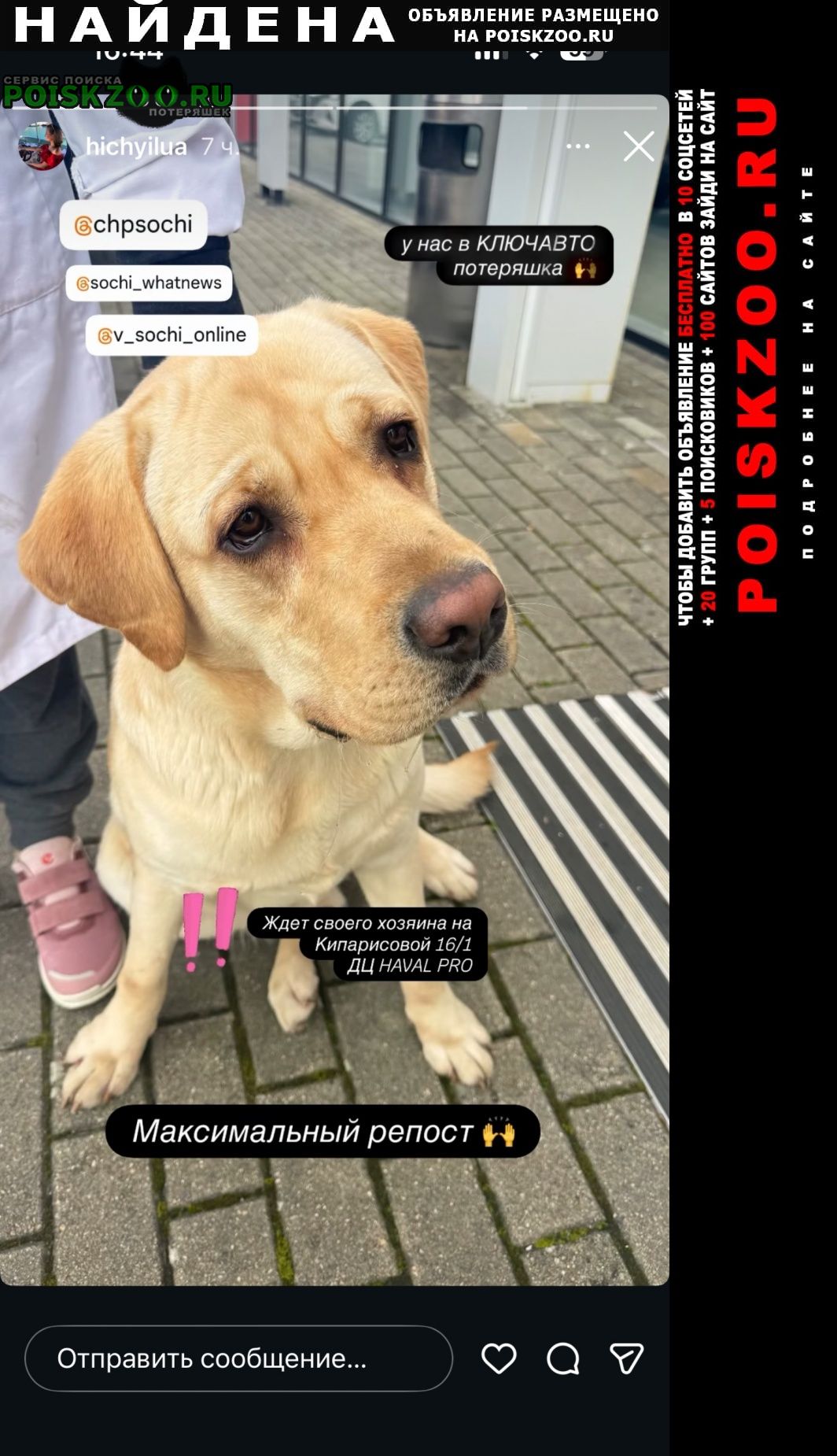 ���� ������� ������ ������