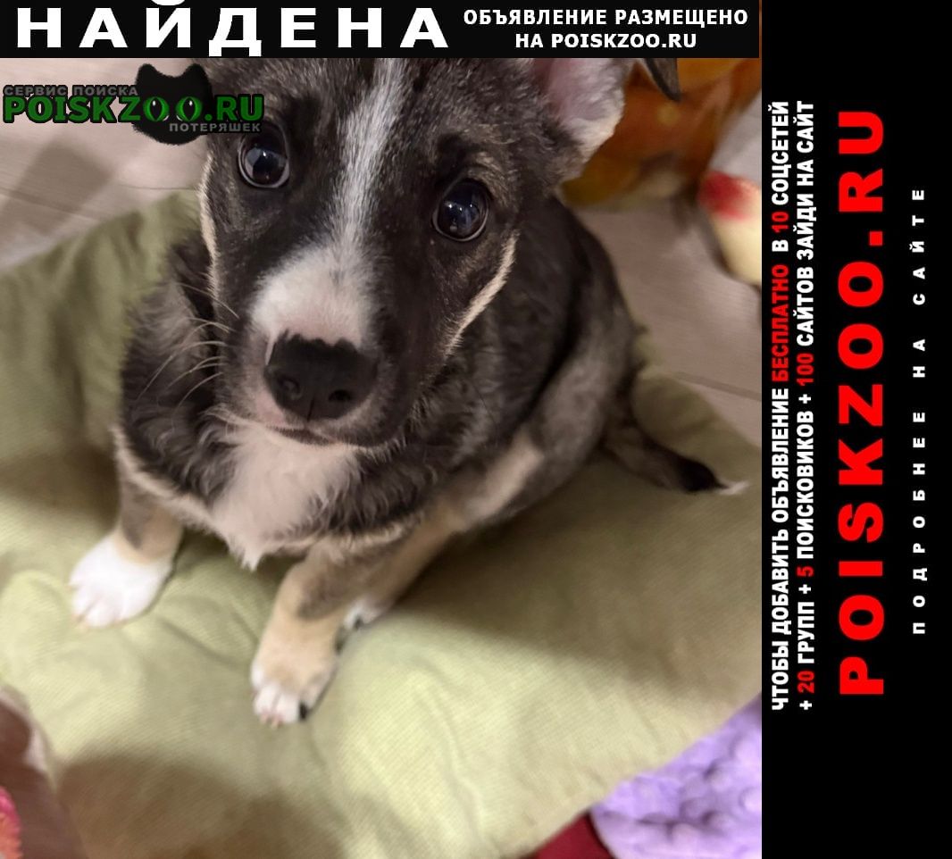 ���� ������� ������ ������ �����