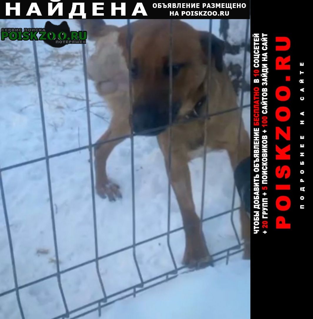 ���� ������� ������ ������ ������ ����� ���