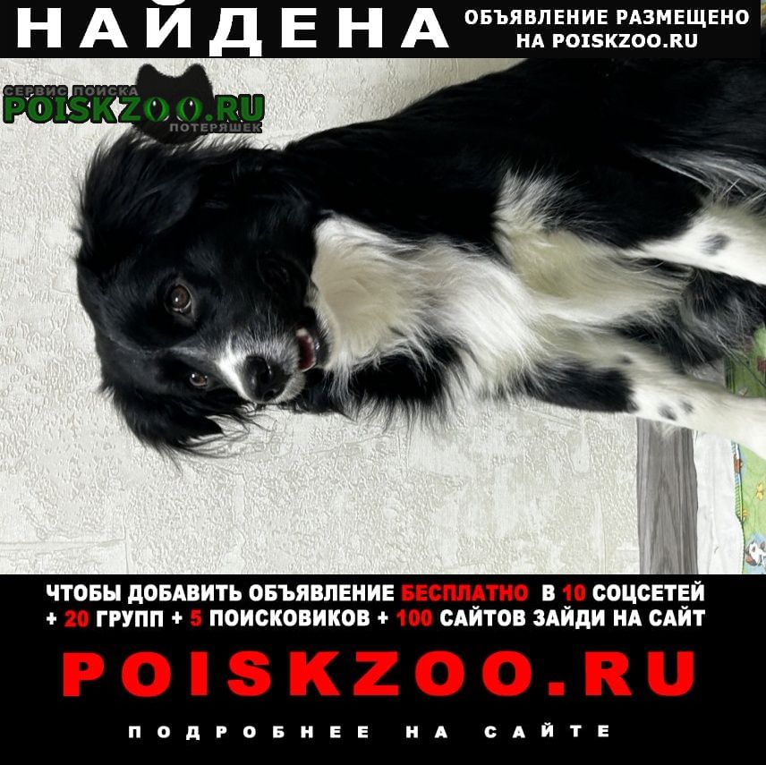 ���� ������� ������ ������ ��� � ������ �� ����