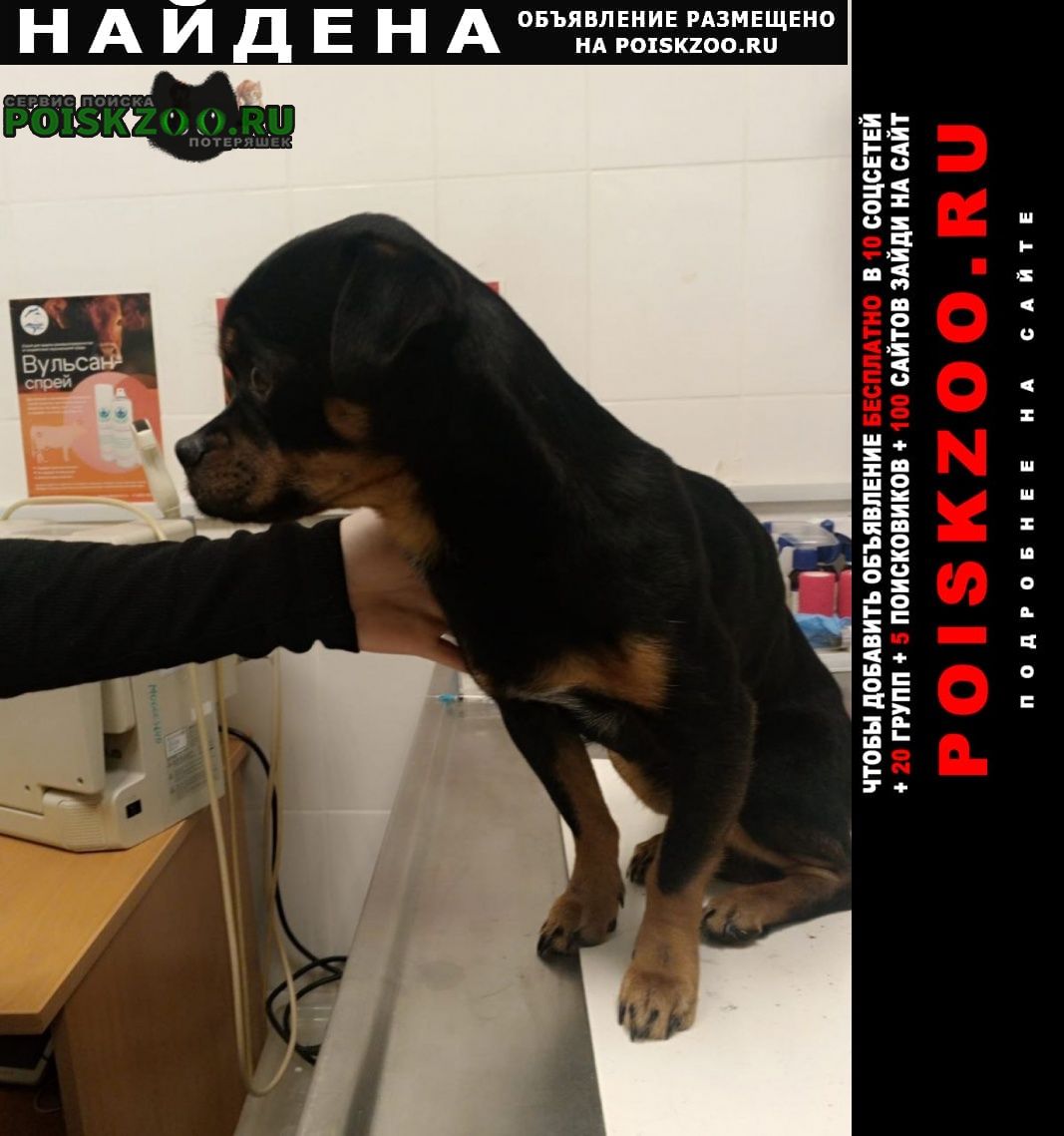 ���� ������� ������ ������