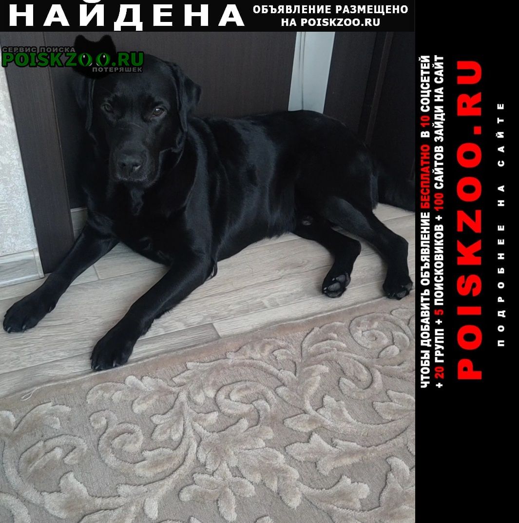 ���� ������� ������ ������