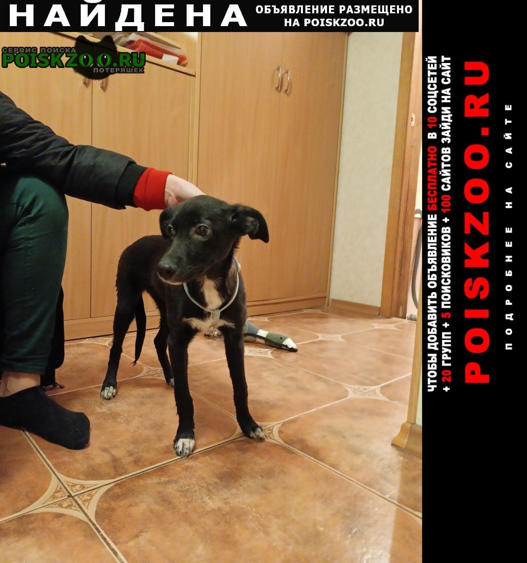 ���� ������� ������ �����