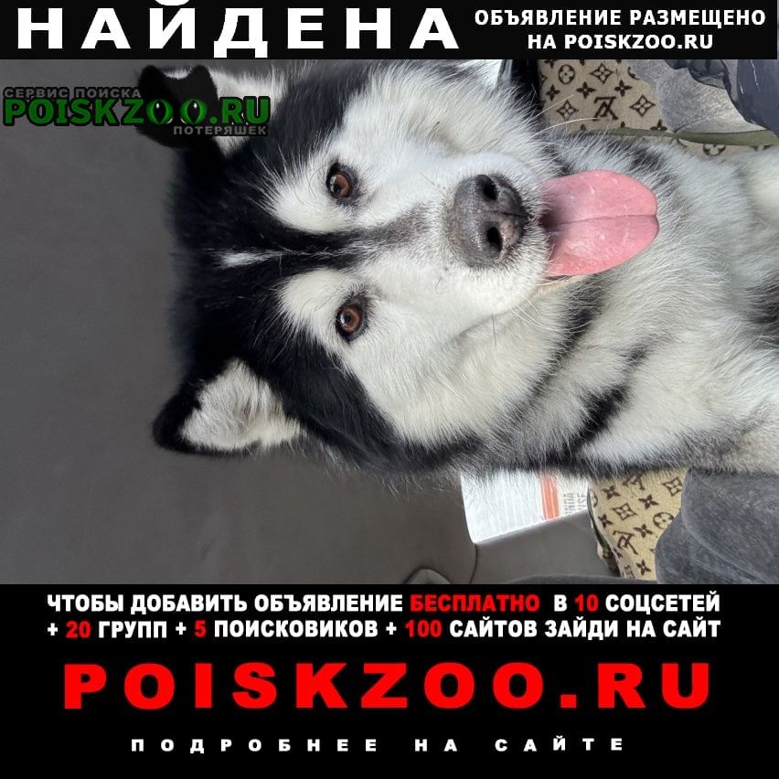 ���� ������� ������ ������ � ������ ����� �������� ������� 4