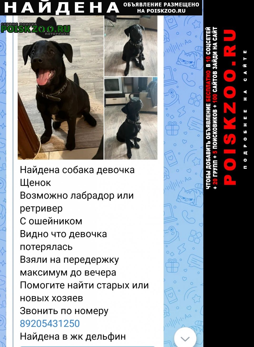 ���� ������� ������ �������� ����������, ���� ������