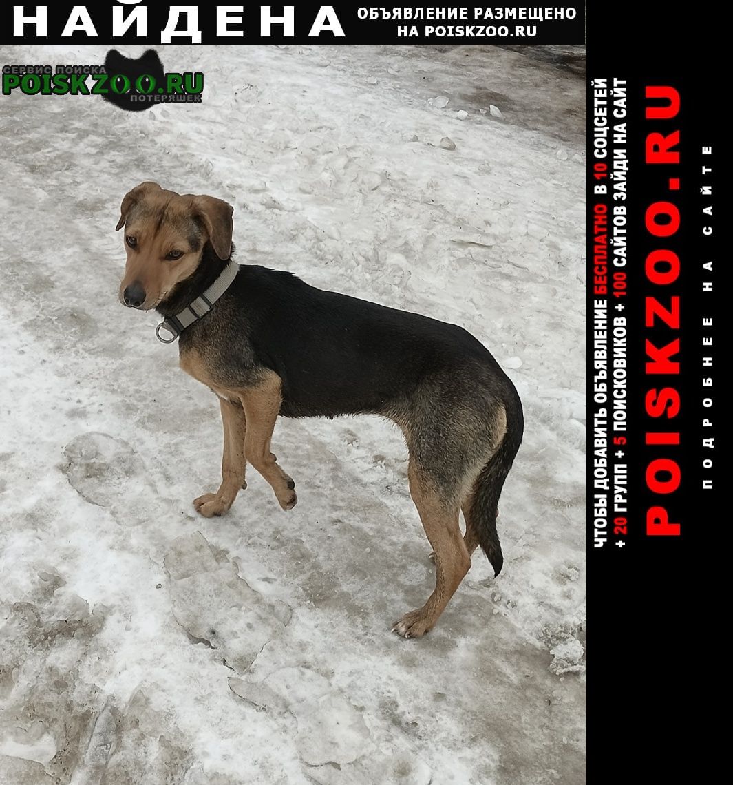 ���� ������� ������