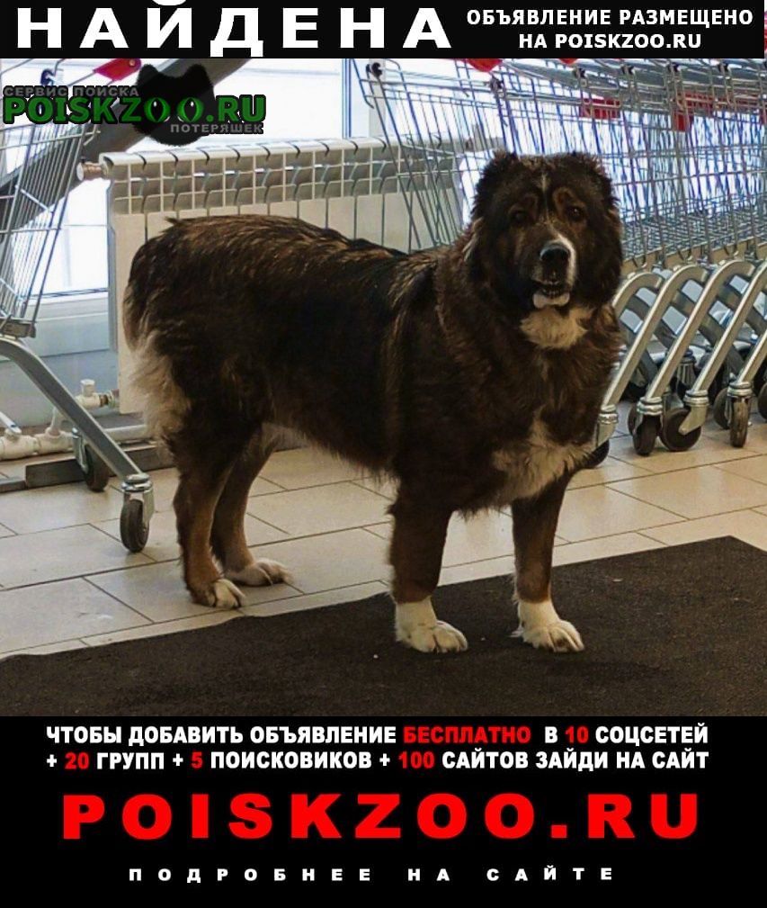 ���� ������� ������ ����� ������