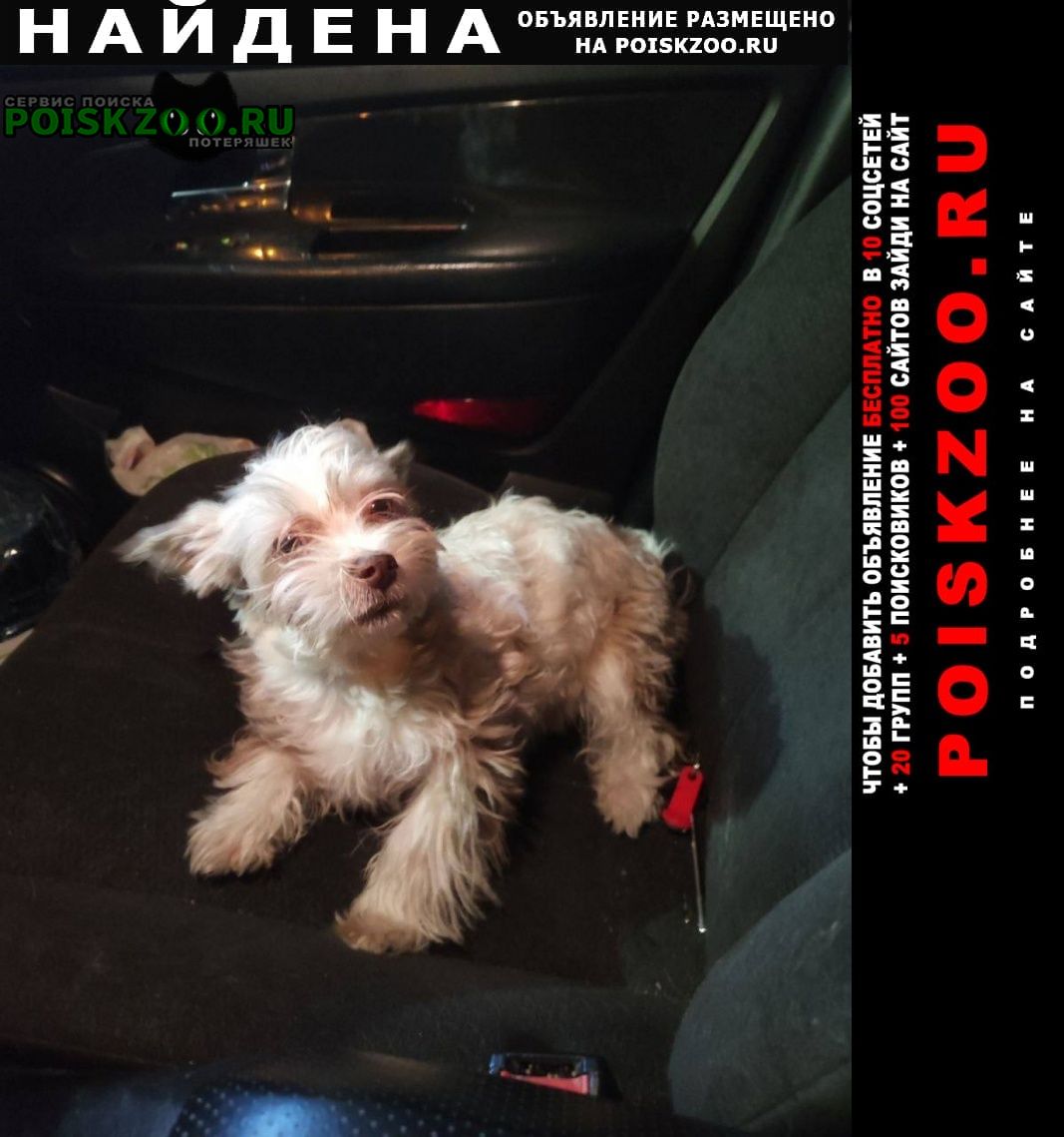 ���� ������� ������ ����-����/�����-����/��� �����