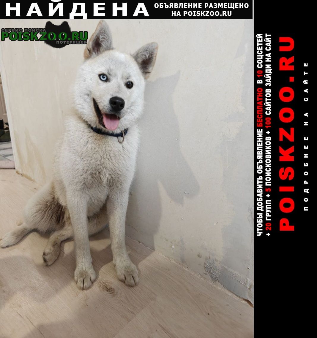 ���� ������� ������ ������