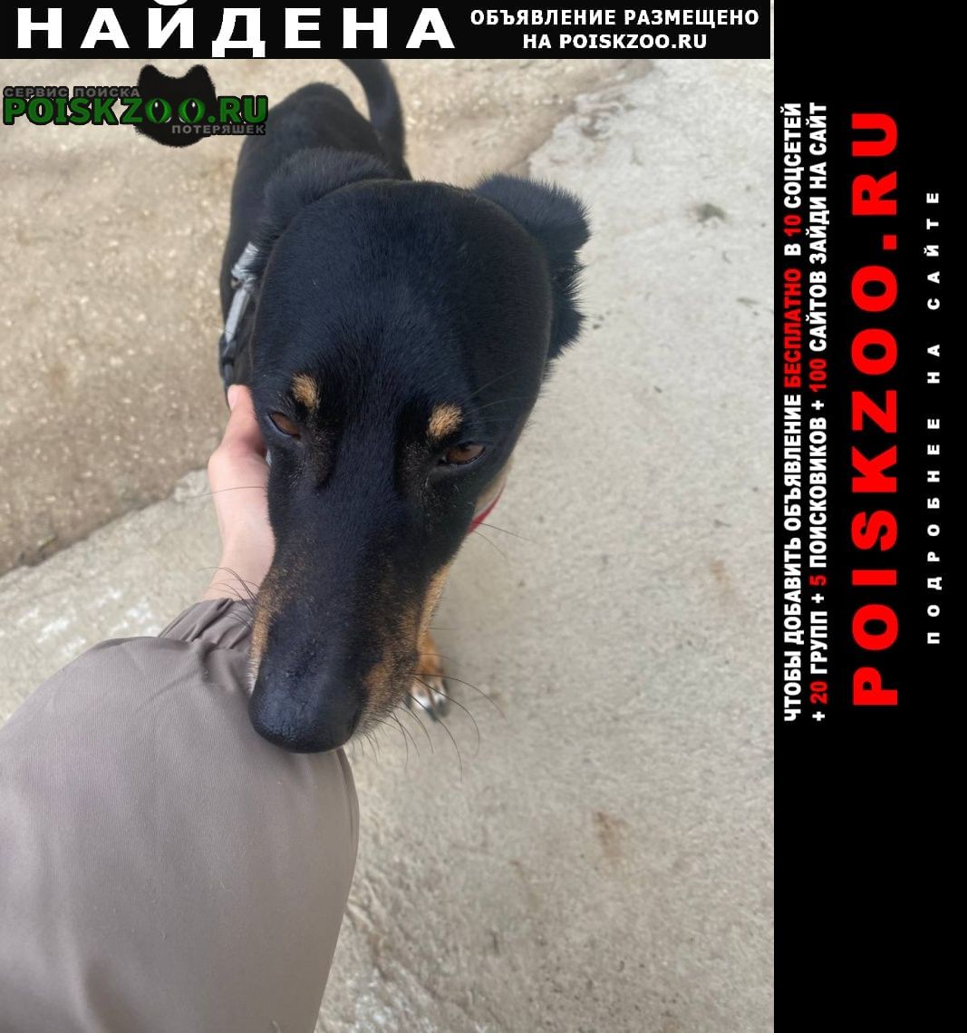 ���� ������� ������ ������