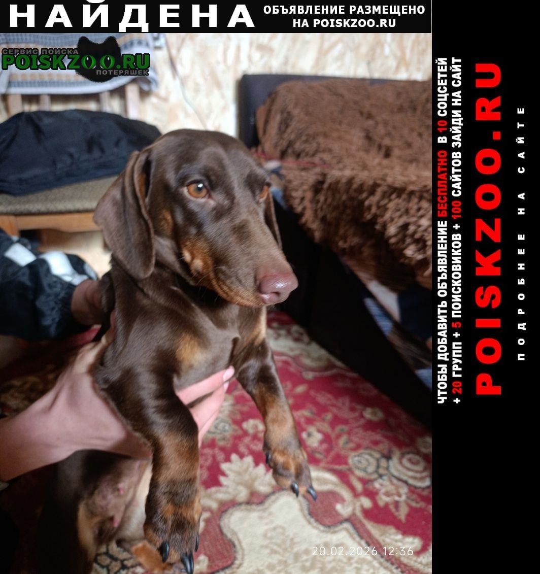 ���� ������� ������