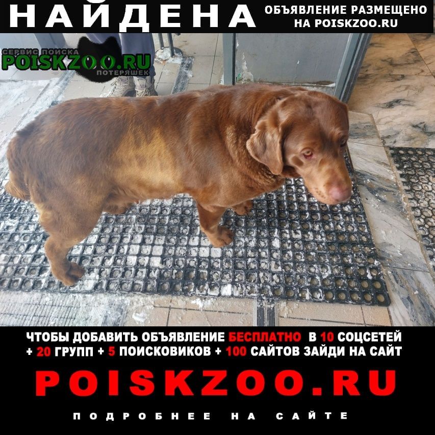 ���� ������� ������ �������