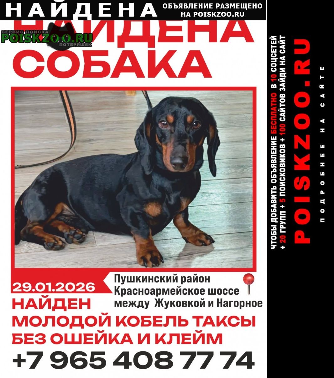 ���� ������� ������ ������ ����� �������