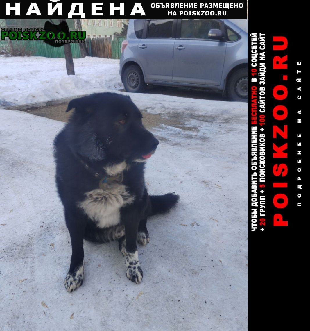 ���� ������� ������