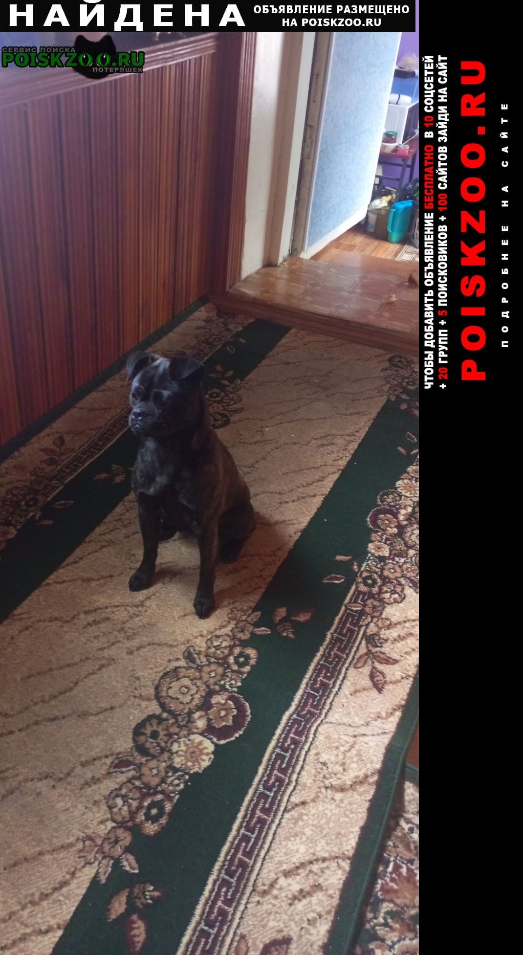 ���� ������� ������ ������