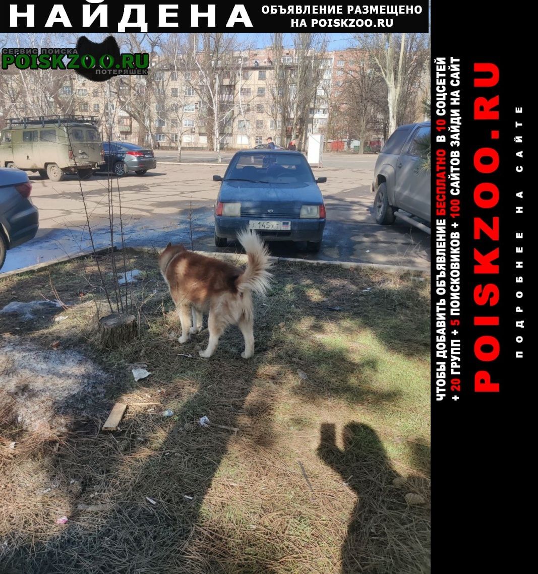 ���� ������� ������ ������ ���������� ����� ����-��������������� ��