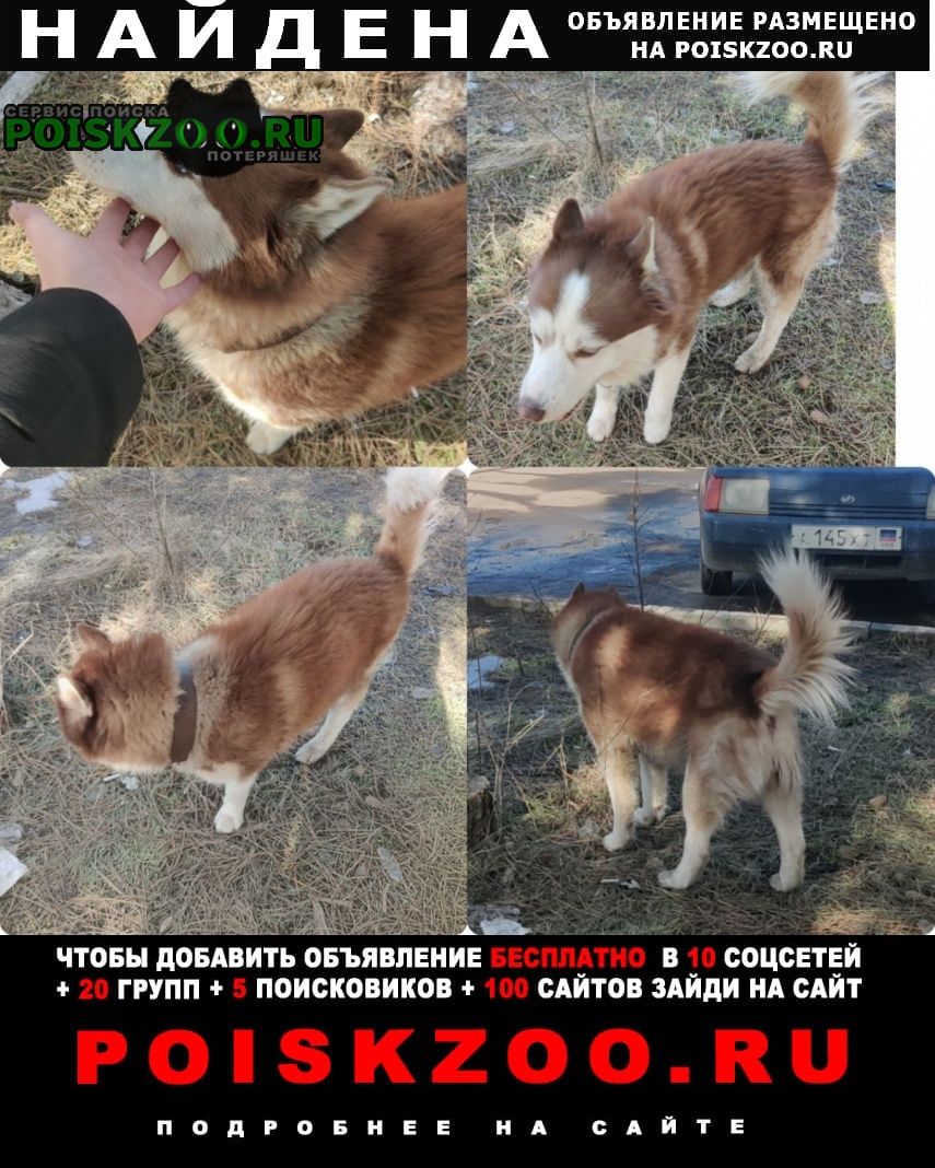 ���� ������� ������ ������ ���������� ����� ����-��������������� ��