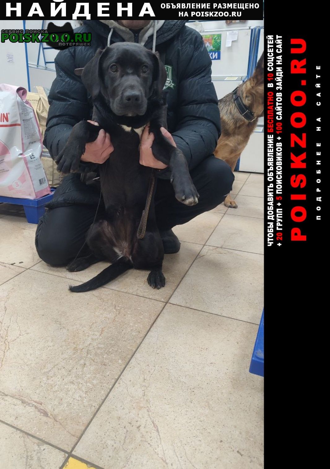 ���� ������� ������ ������� ��������� 6 �������