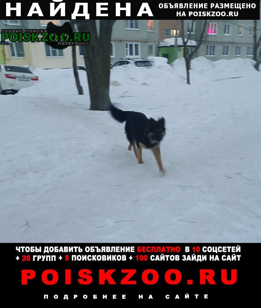 ���� ������� ������ ������ �������