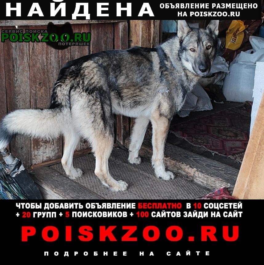 ���� ������� ������ ������ ������ �� ����, ����� �� �����, ��������