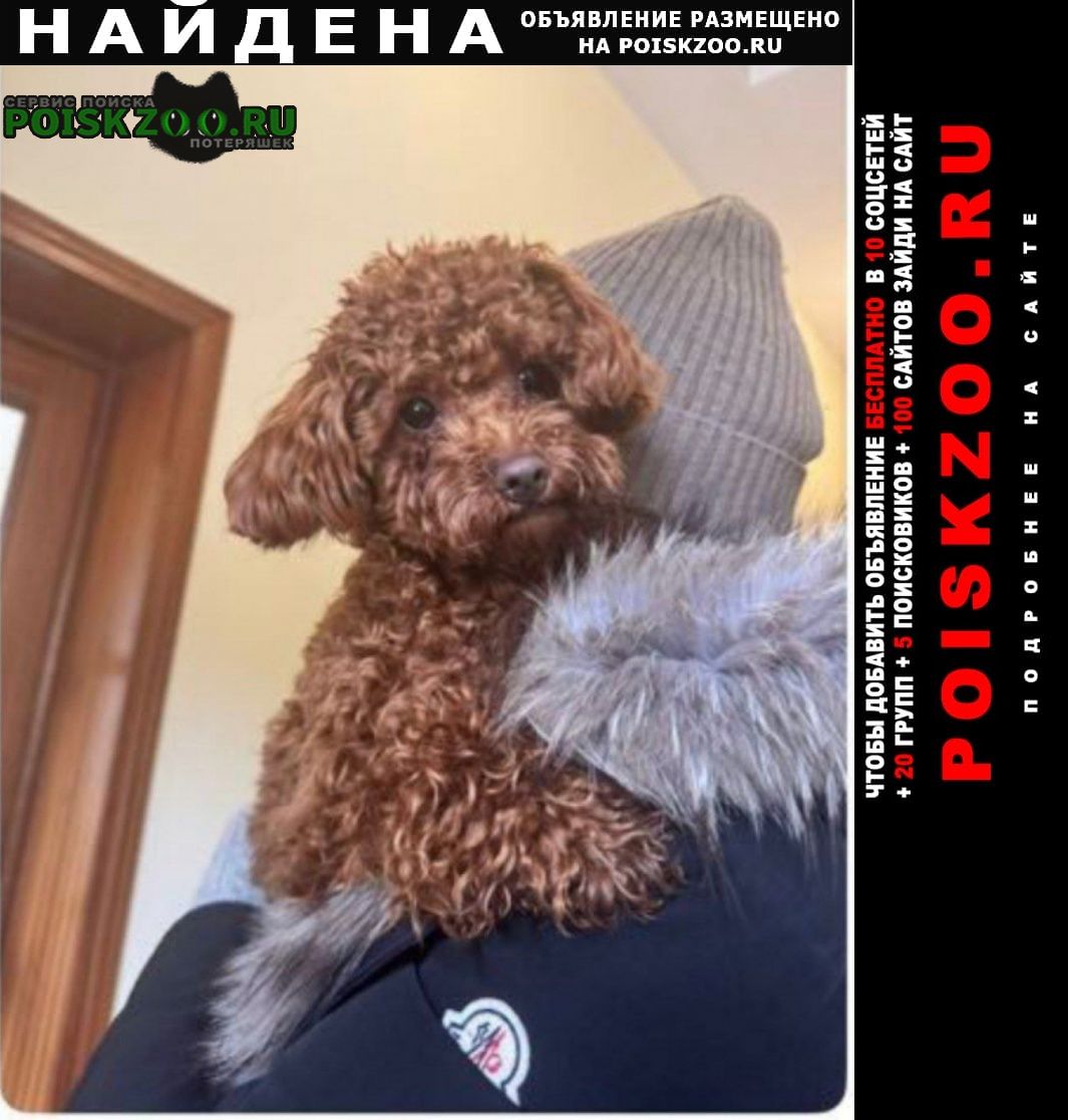 ���� ������� ������ ����� 8 �����