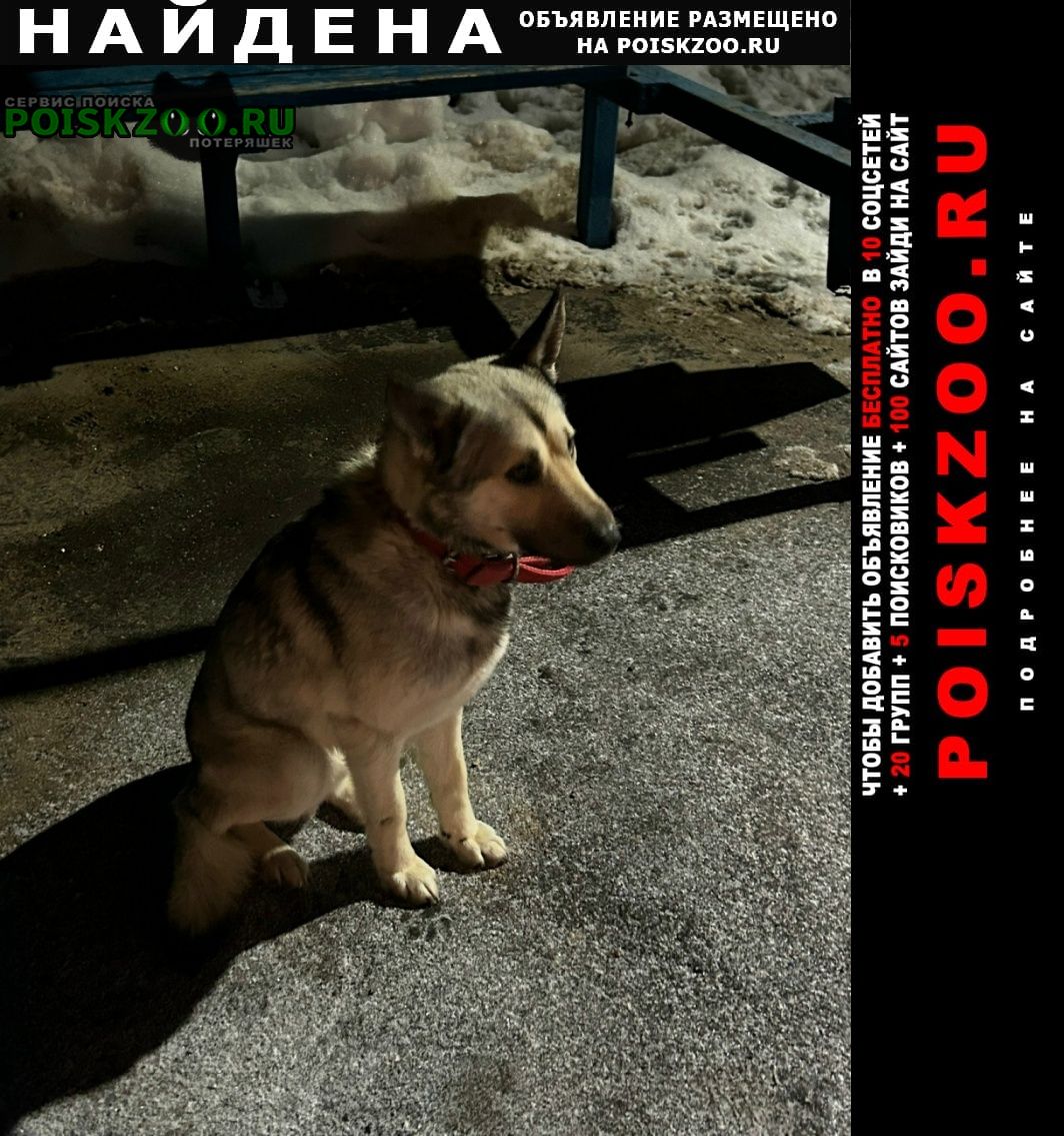 ���� ������� ������ � ����� ������� ���������