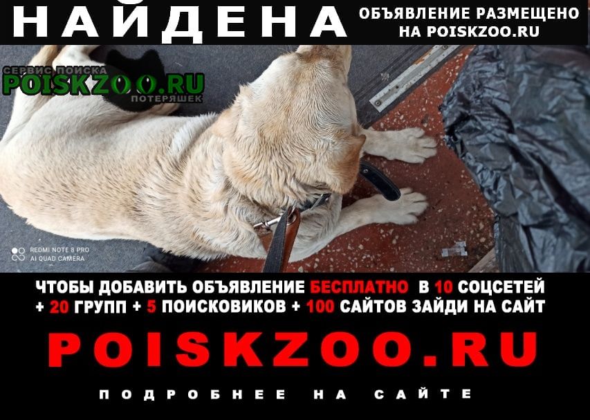 ���� ������� ������ ������ 3-4 ����