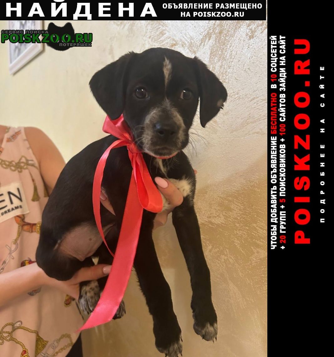 ���� ������� ������ ������� 2 ������