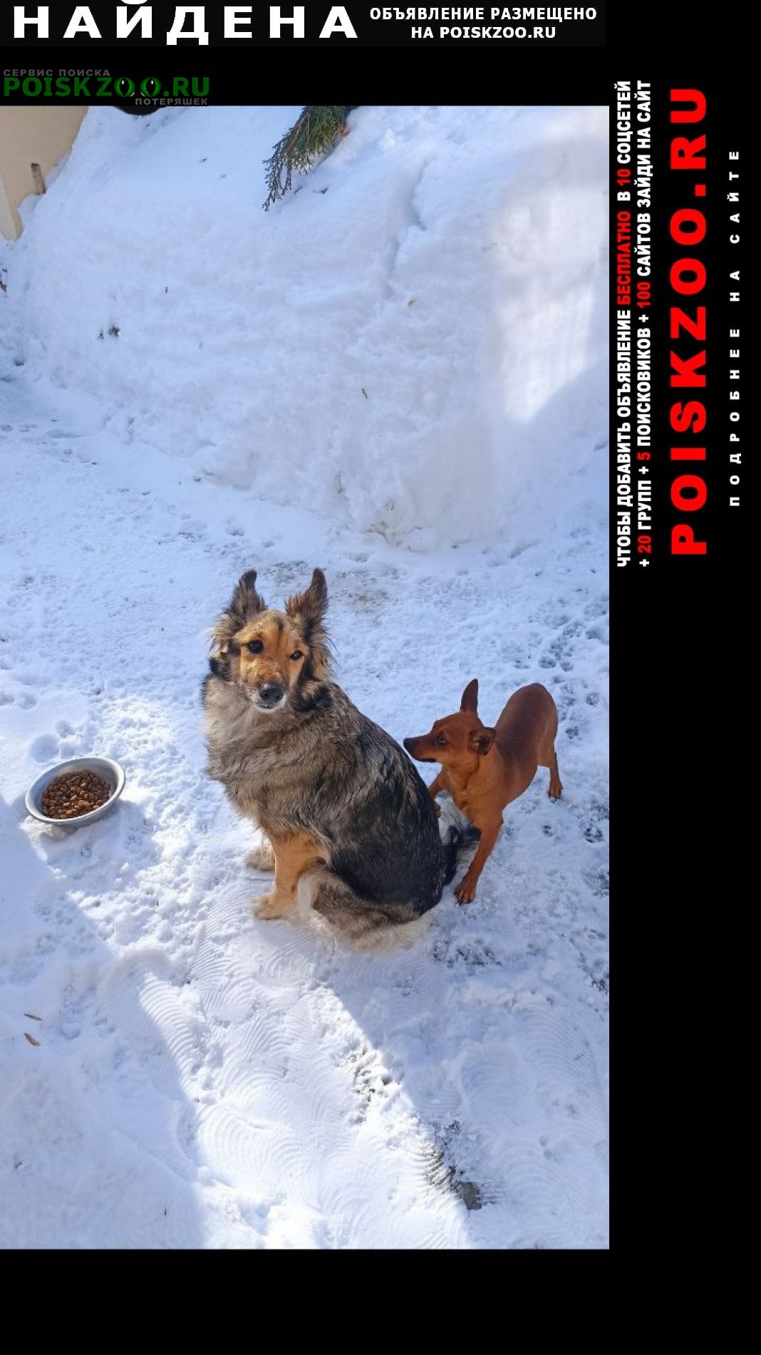 ���� ������� ������ � 2 ������