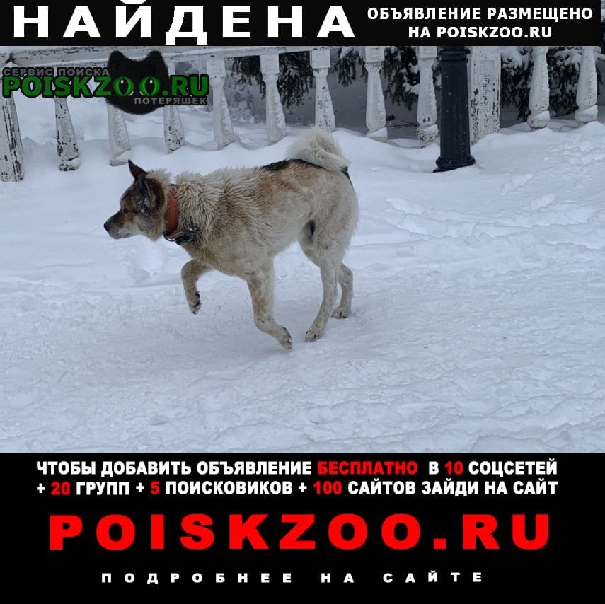 ���� ������� ������ ������, � ���������� ����� �� ��������