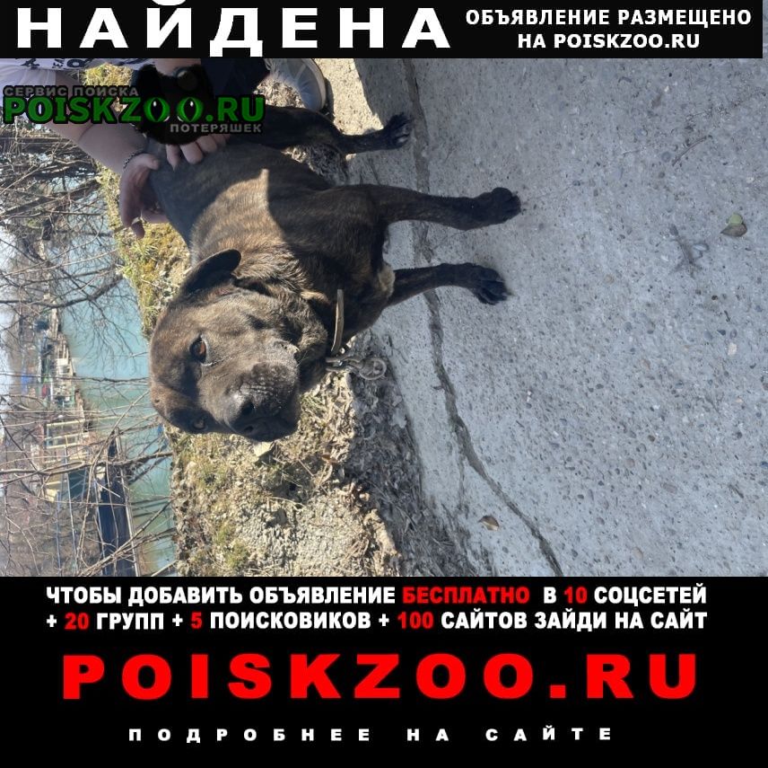 ���� �������� ����� ���� ������ �����