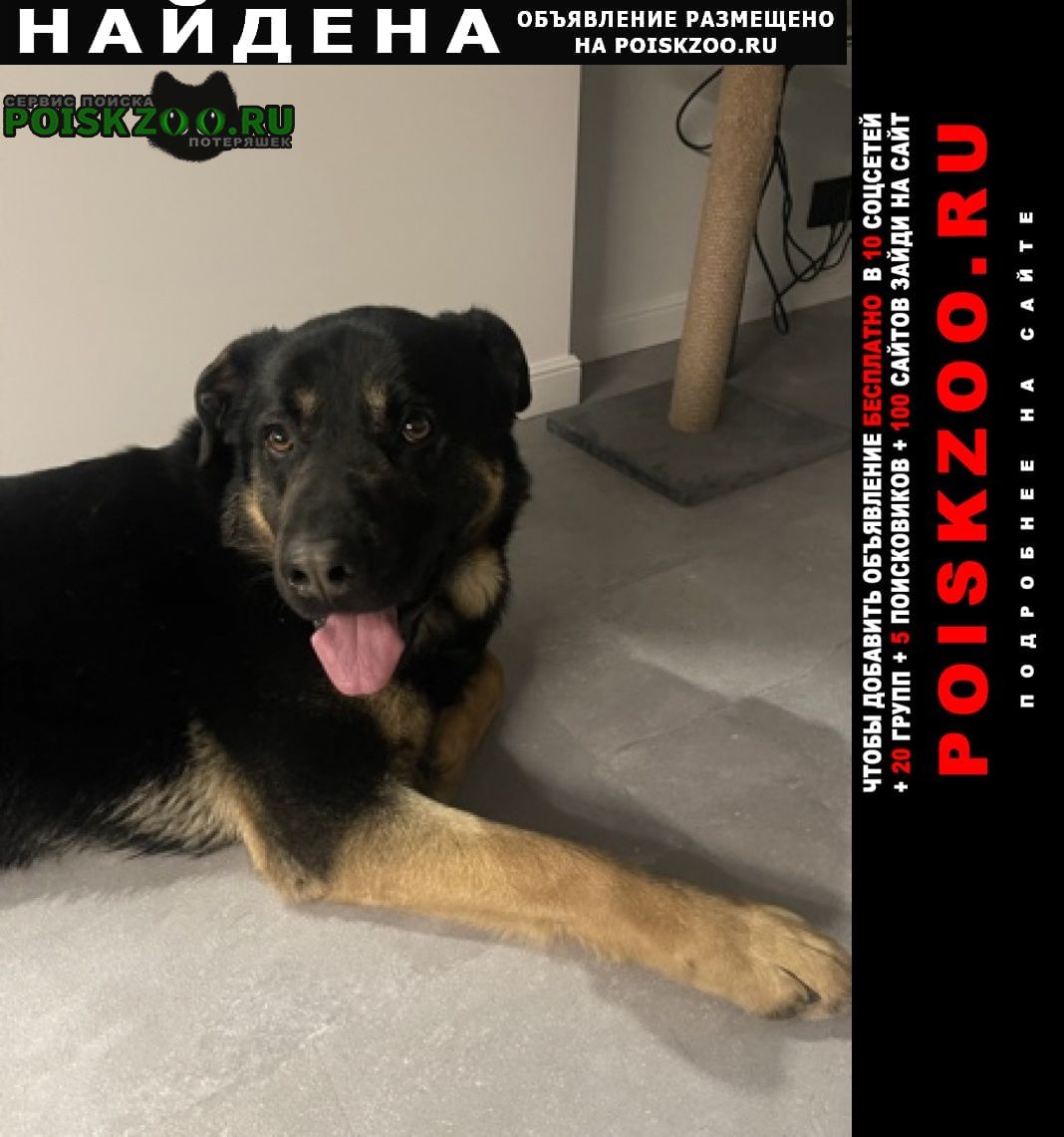 ���� ������� ������ ������ ���� ������ ������ ��� �����