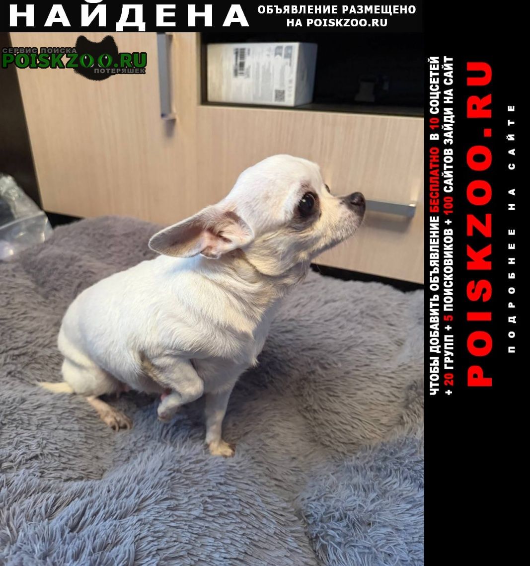 ���� ������� ������ �������� �������