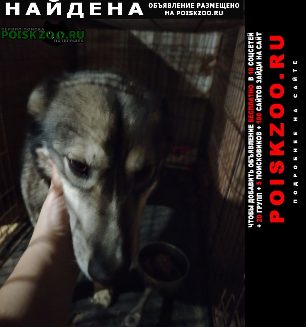 ���� ������� ������ ����� ����