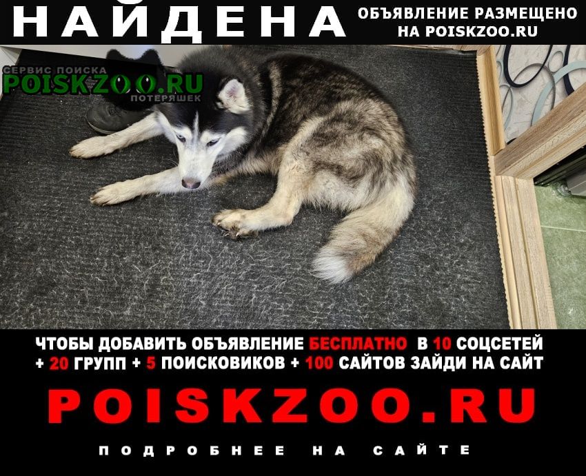 ���� ������� ������ ������ �����, ������. ������ ��������.