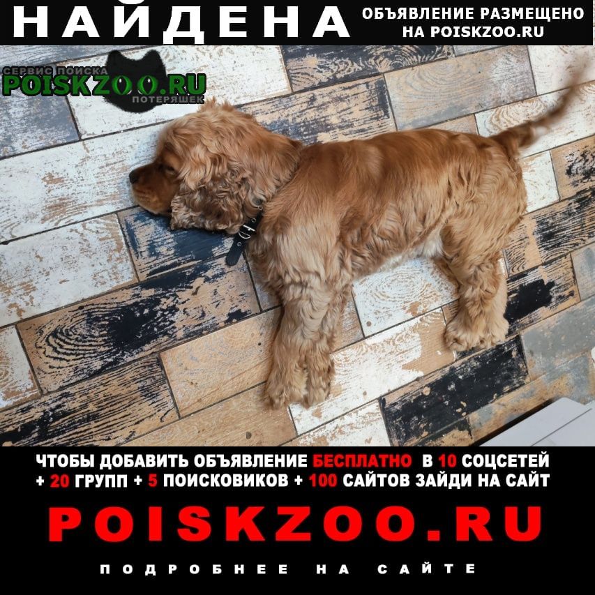 ���� ������� ������ ������