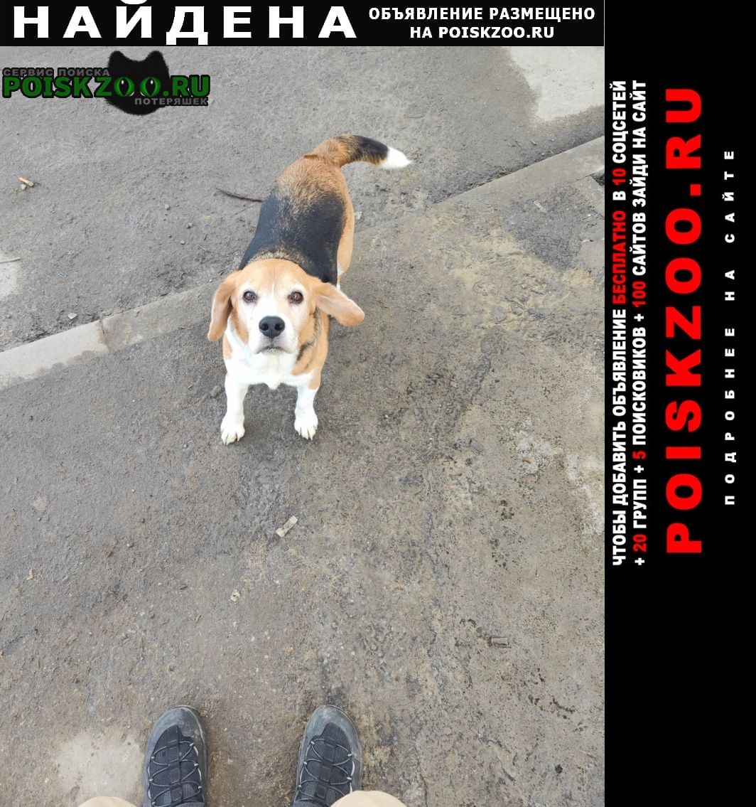 ���� ������� ������ ����� ��� ��������