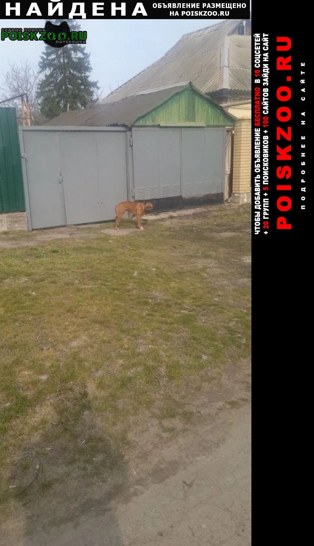 ���� �������� ����� 22 �����, 17:00