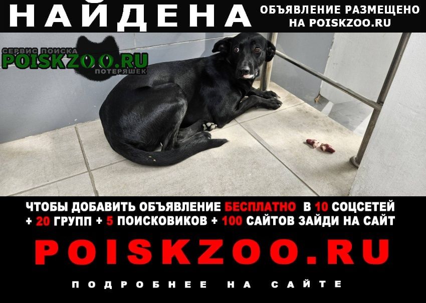 ���� ������� ������