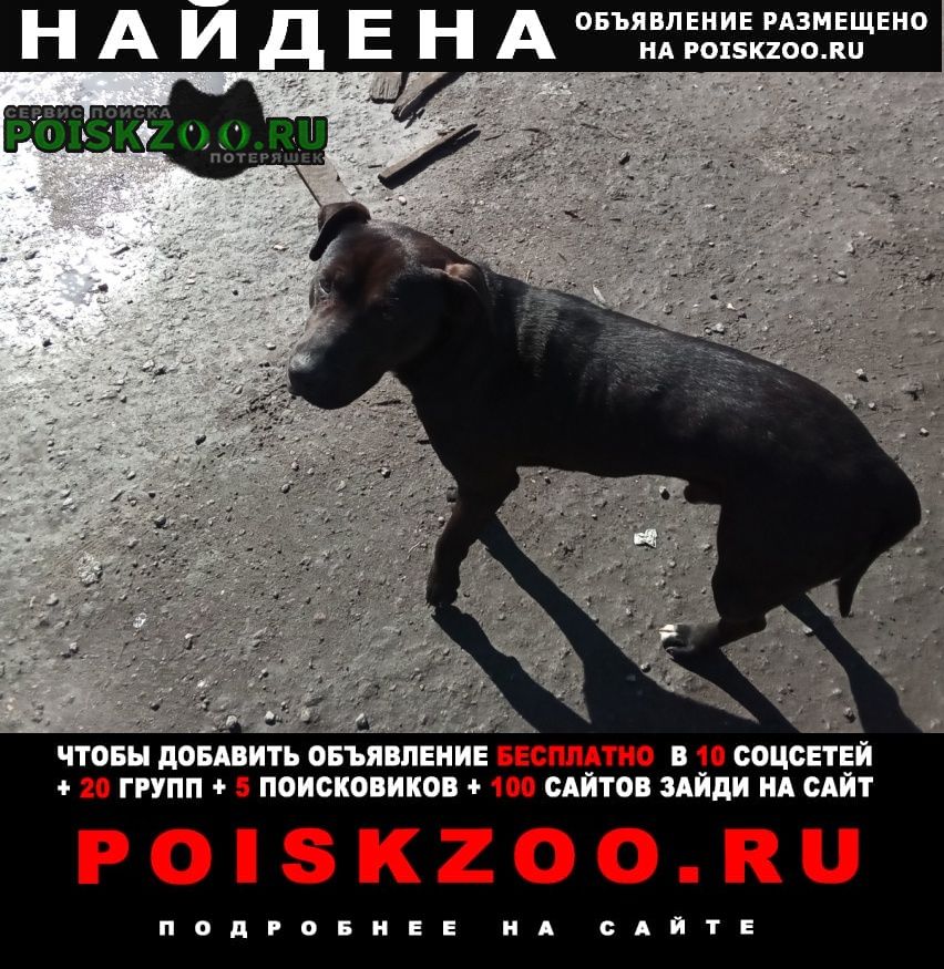 ���� ������� ������ ������