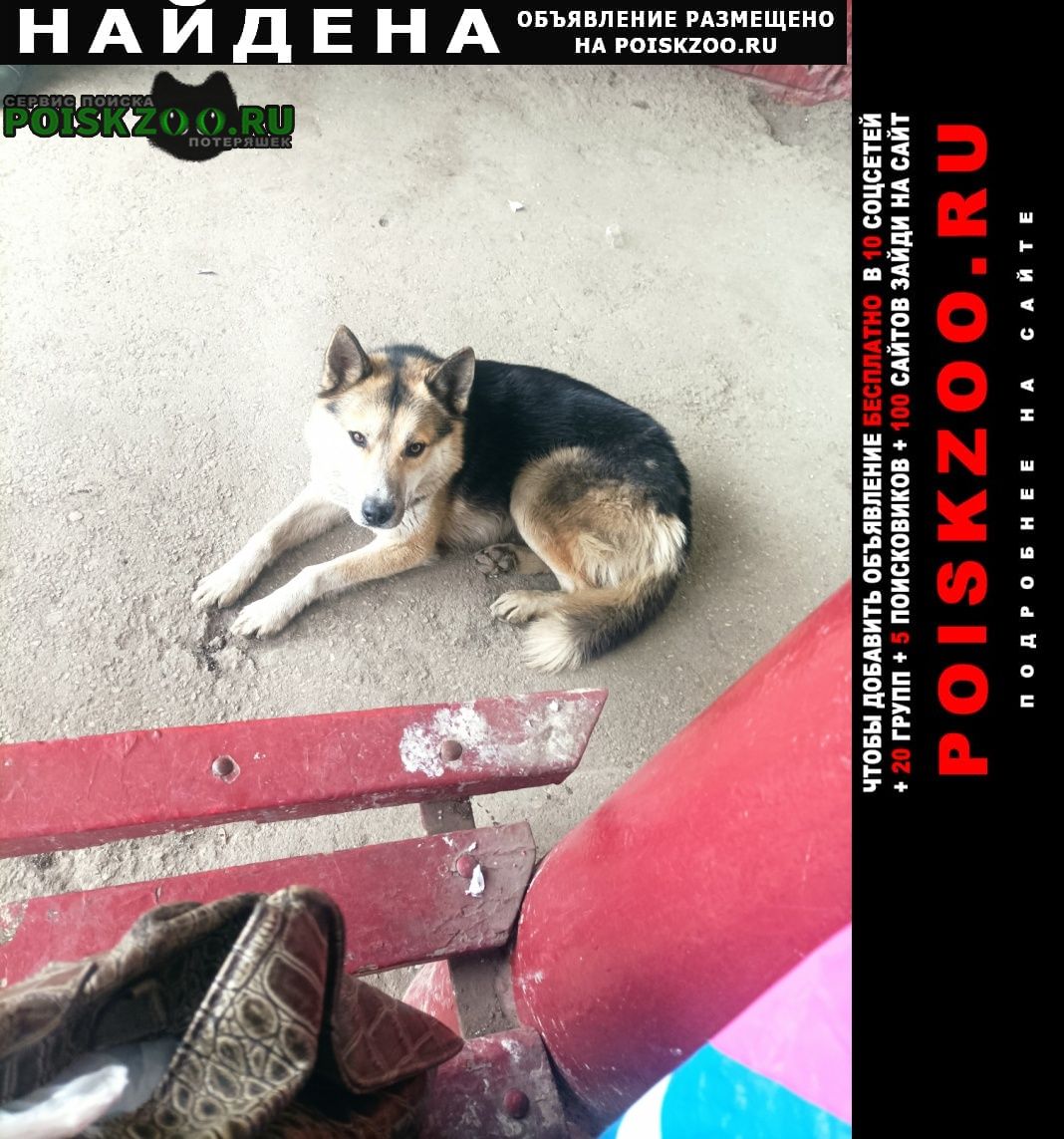 ���� ������� ������ ������ ����� �������