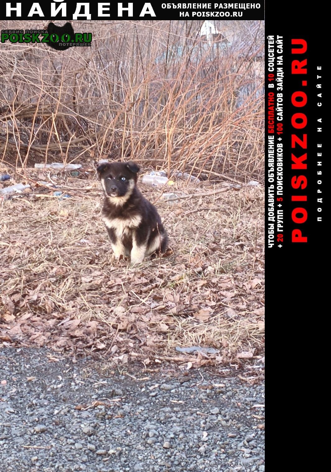 ���� ������� ������ ��� ���� ���