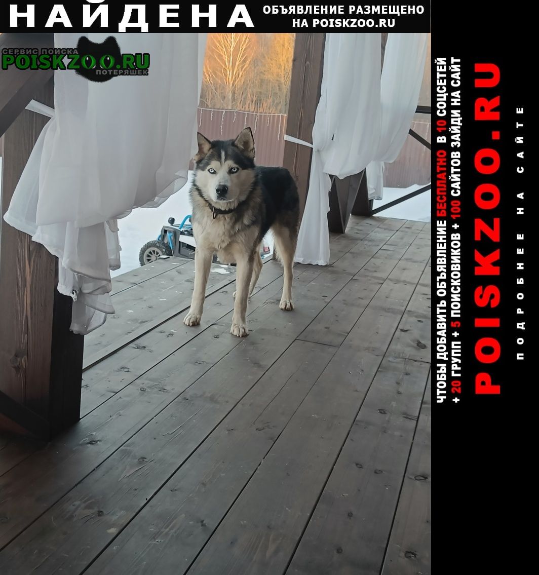 ���� ������� ������