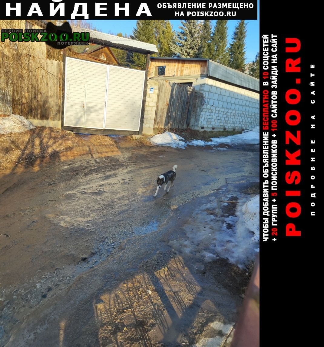 ���� ������� ������ ������ ���