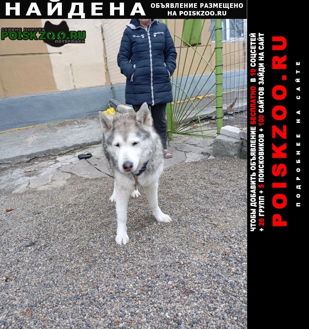 ���� ������� ������ ���� ����� ����� ����� ������ � ��������