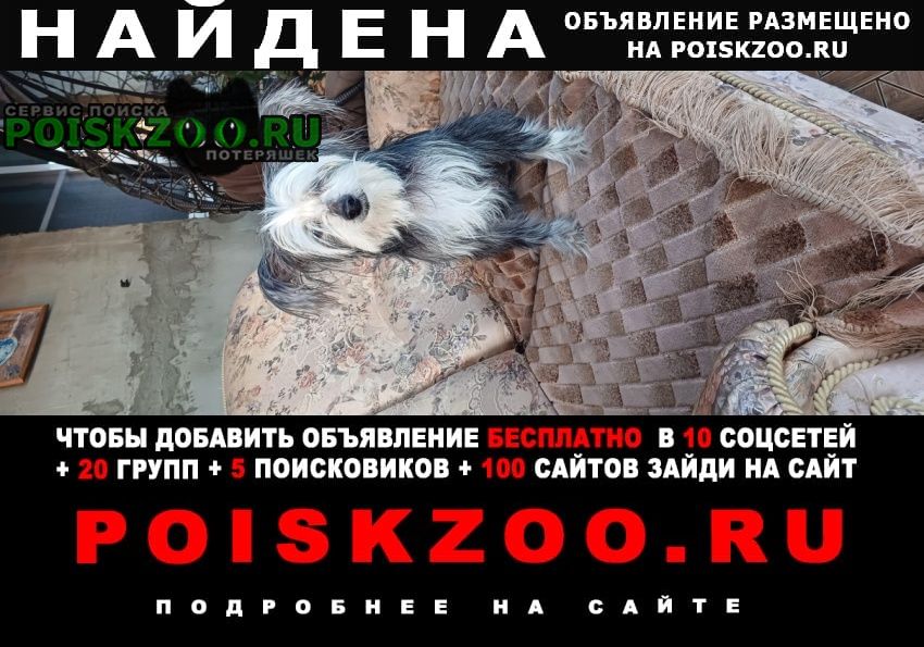 ���� �������� �����. ������ ��������� �����