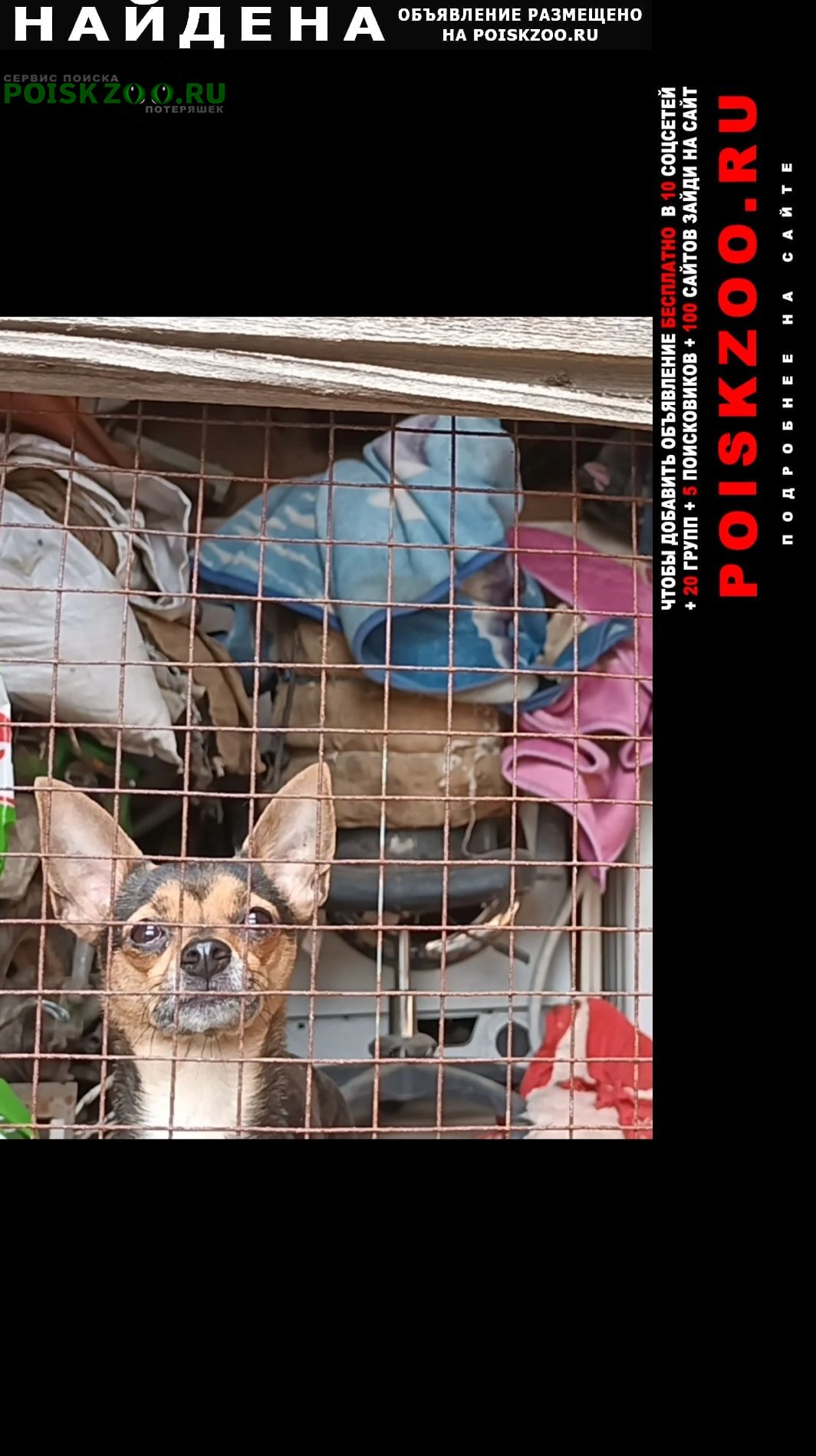 ���� ������� ������ ������ ������, ������ �� �������, ��� ��