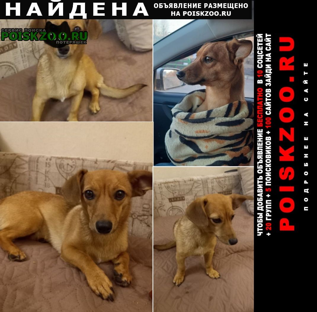 ���� ������� ������